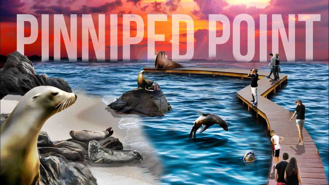Brookfield Zoo's Pinniped Point 'Poster Art'