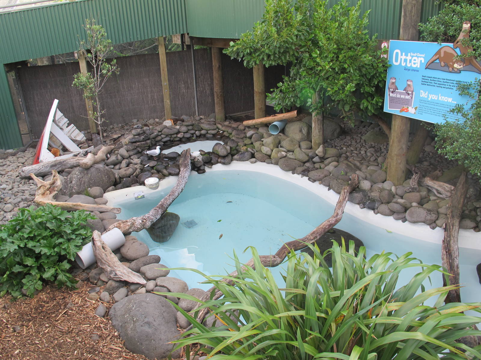 Brooklands Zoo - Asiatic Otter Enclosure