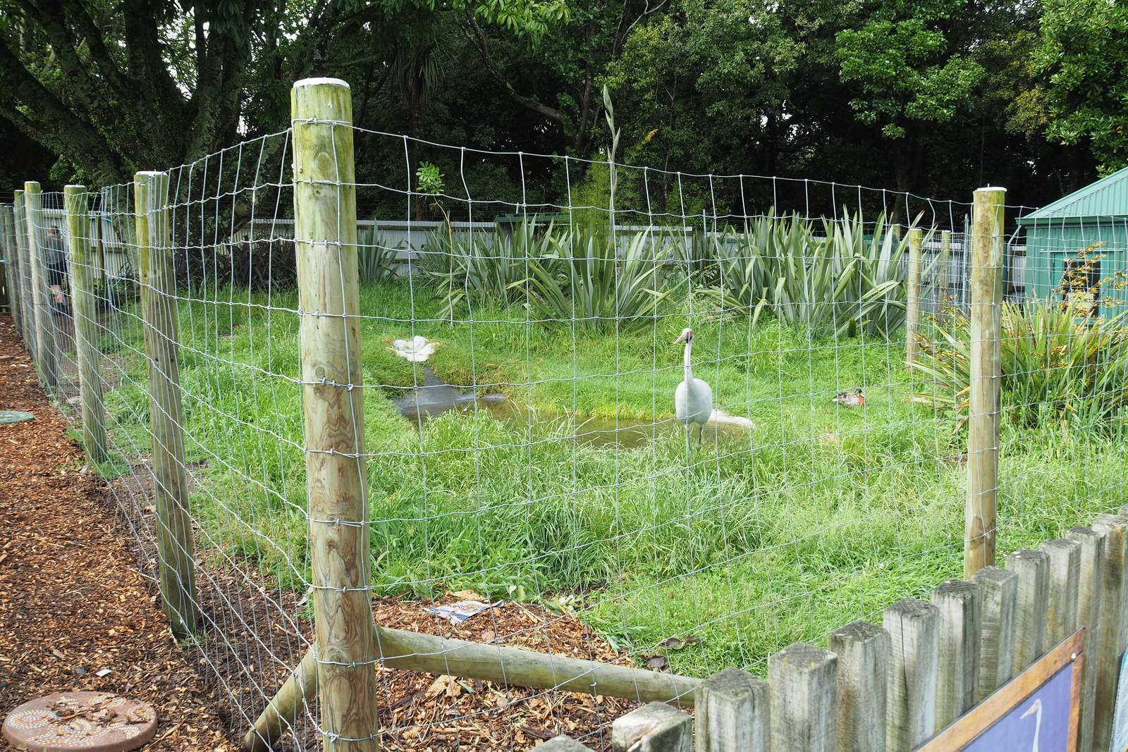 Brooklands Zoo - Brolga Enclosure