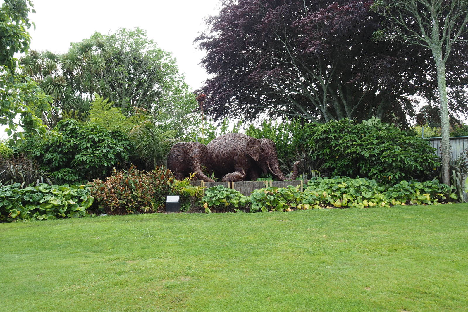 Brooklands Zoo - Elephant Sculptures