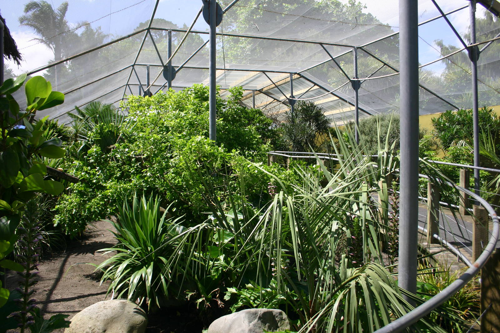 Brooklands Zoo - Free-flight Aviary