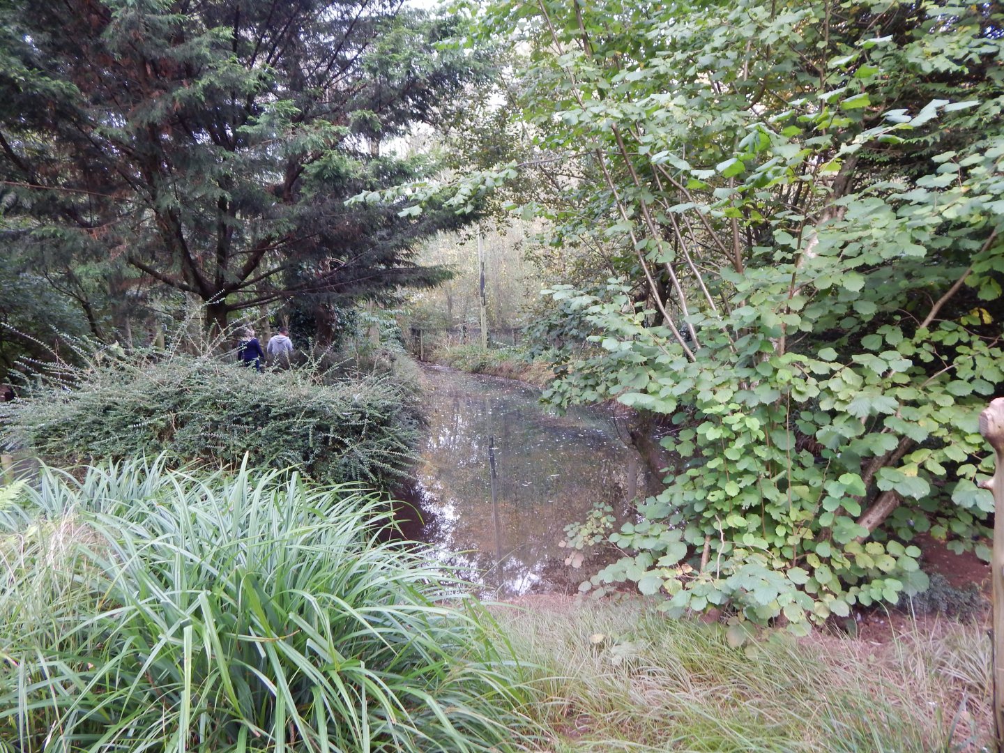 Brookside Aviary 181020