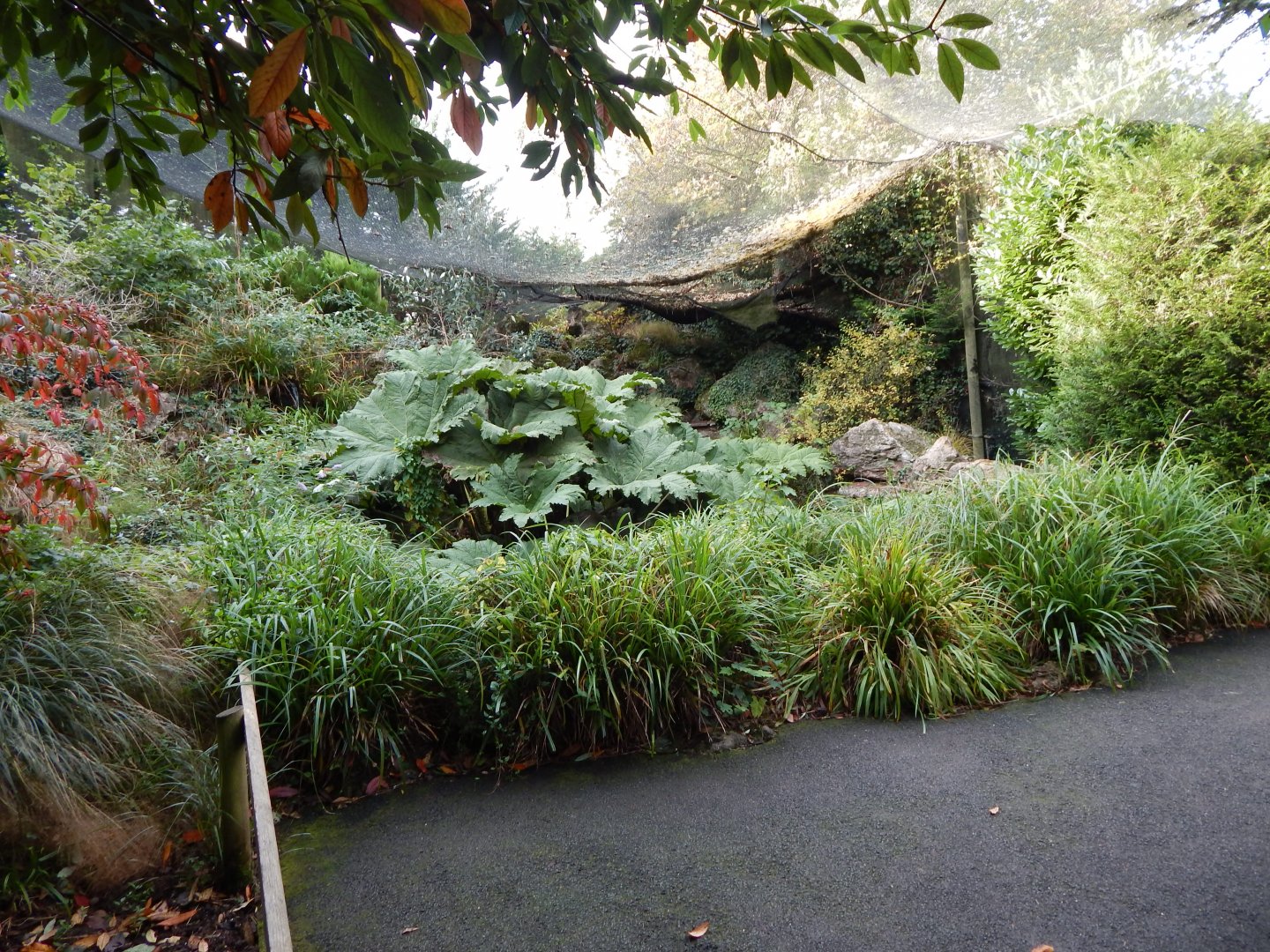 Brookside Aviary 181020