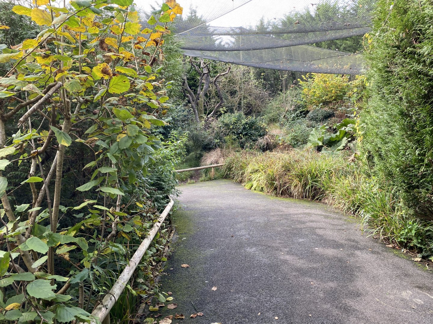 Brookside Aviary 201121