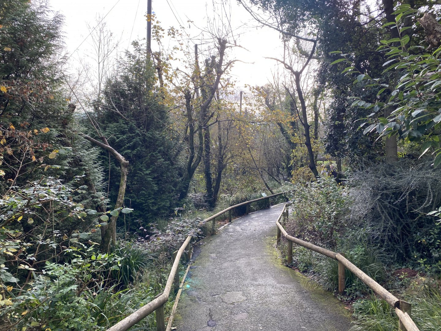 Brookside Aviary 201121
