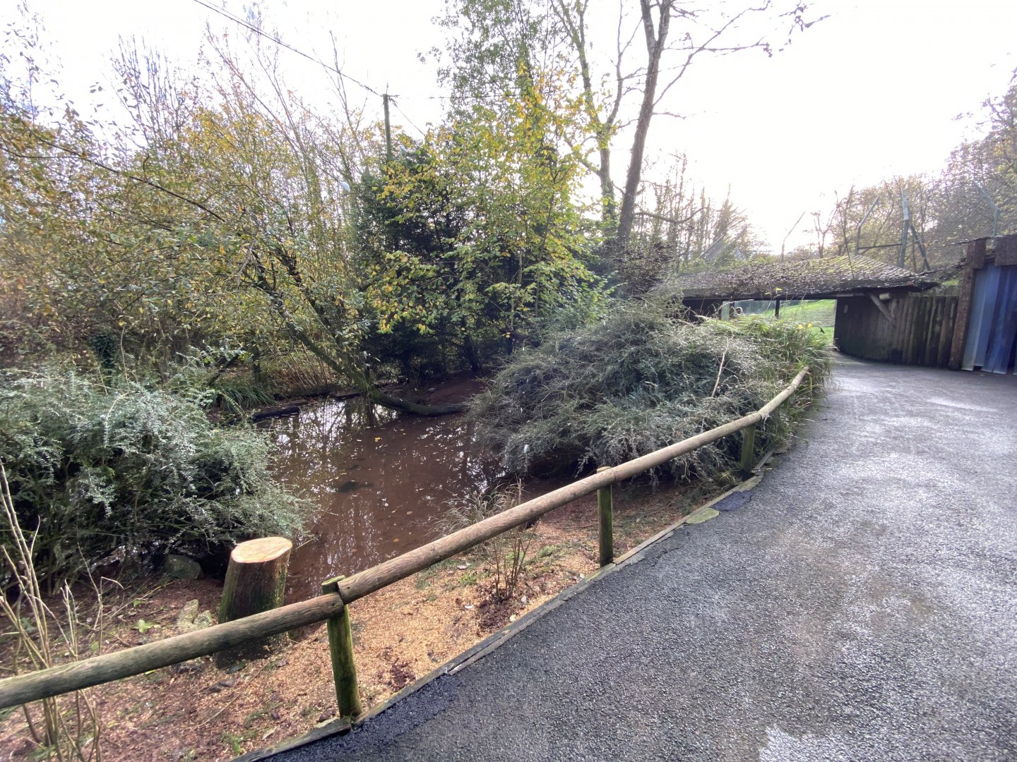 Brookside Aviary 201121
