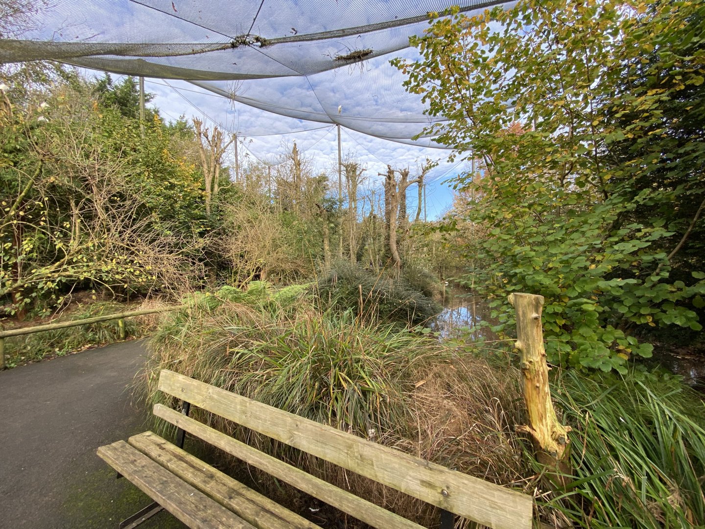 Brookside Aviary 201121