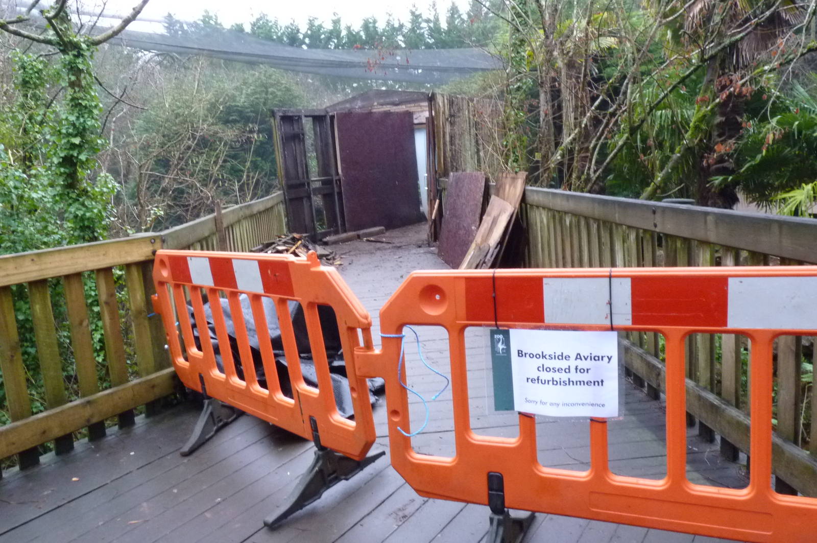 Brookside Aviary, 23 January 2013