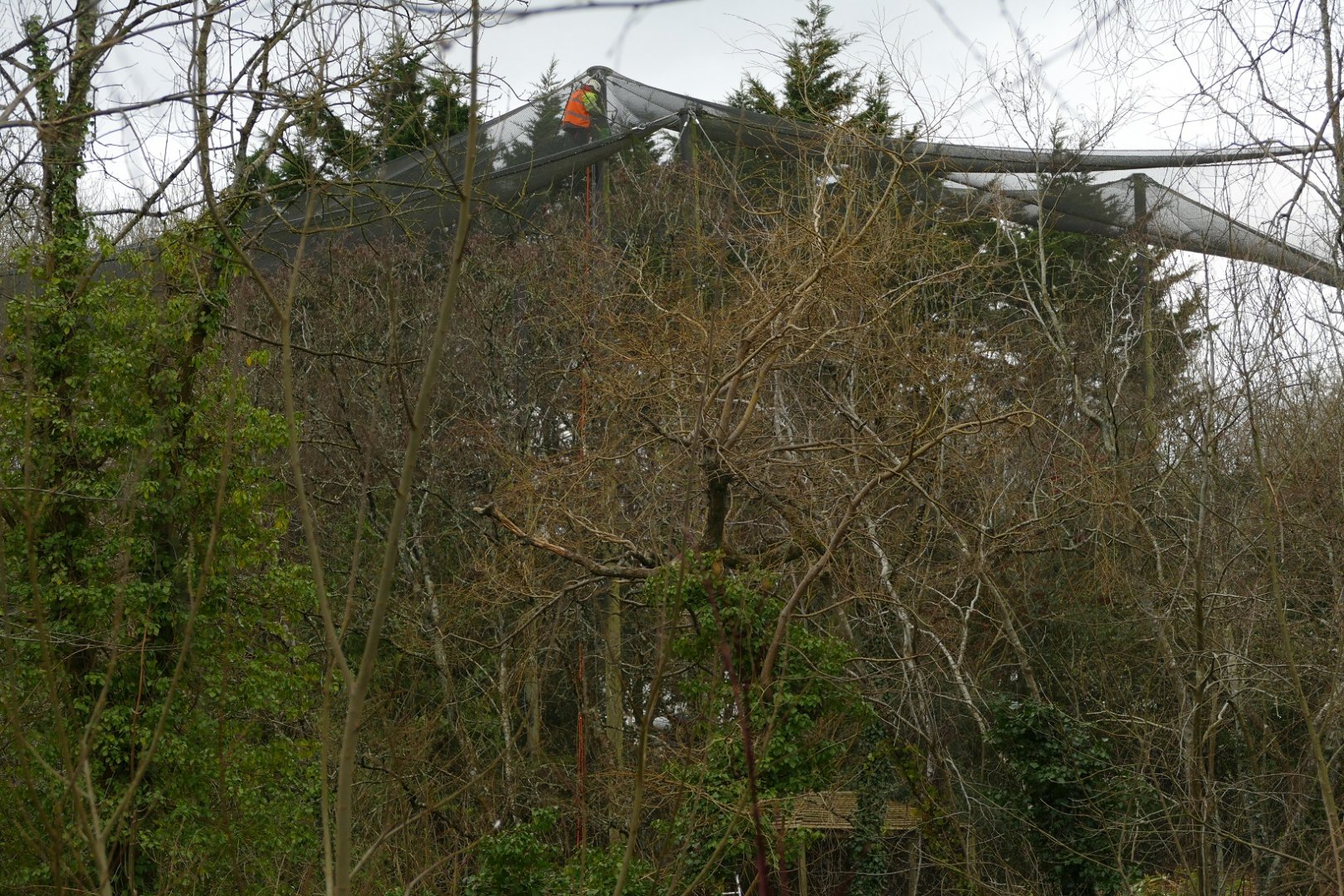 Brookside Aviary work, March 2022