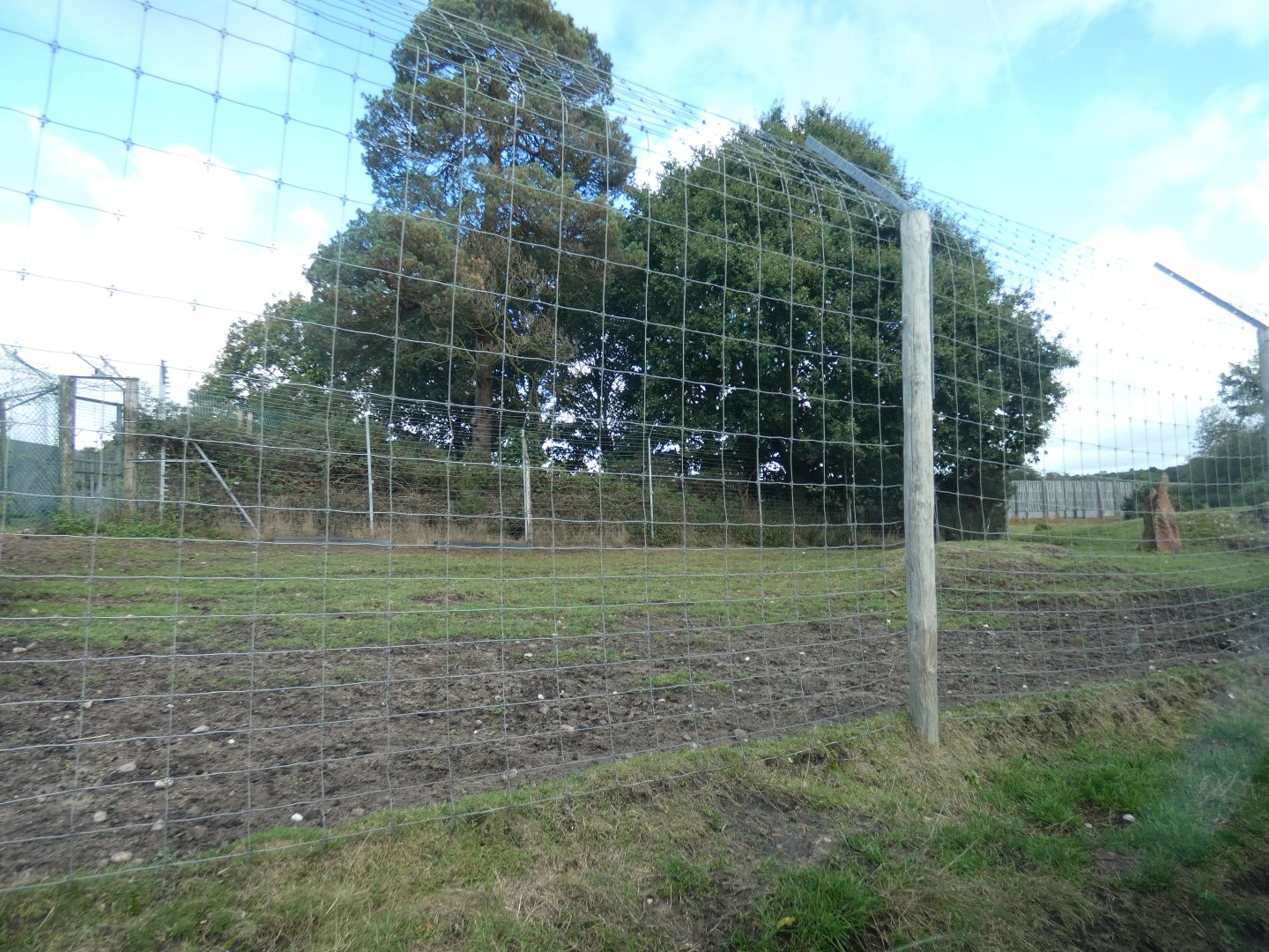 Brow-antlered deer enclosure