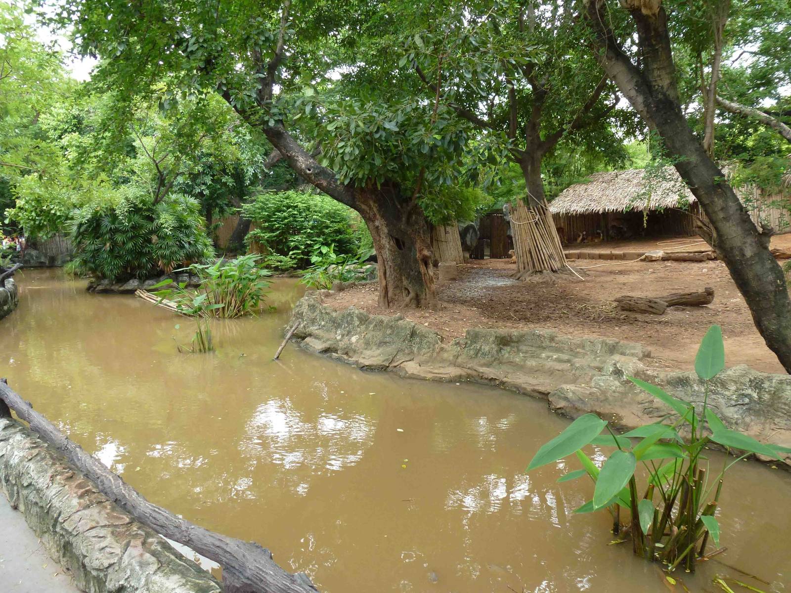 Brow-antlered deer moat, July 2013.