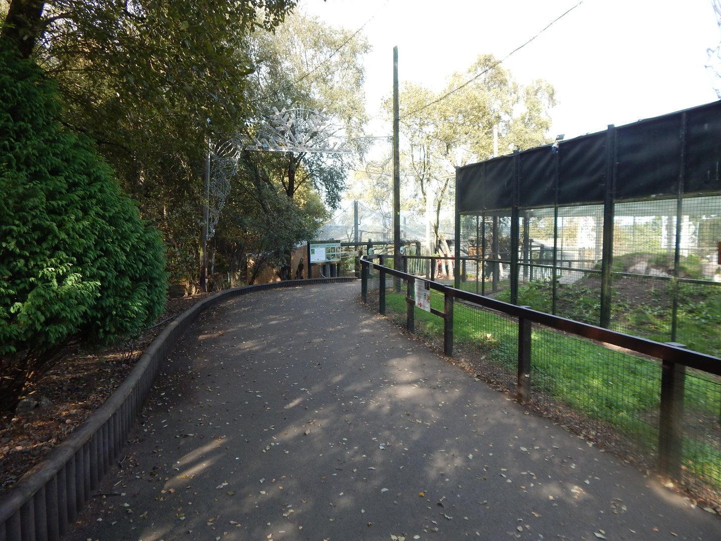 Brown bear and Clouded leopard enclosures 200922