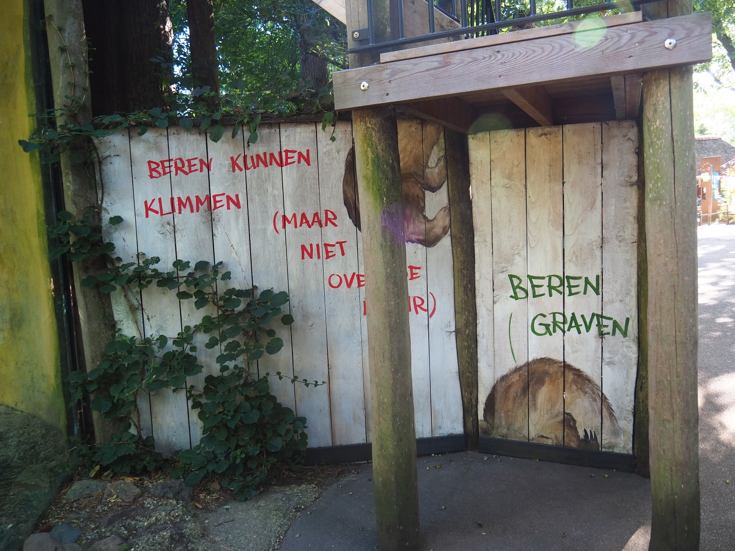 Brown bear education murals