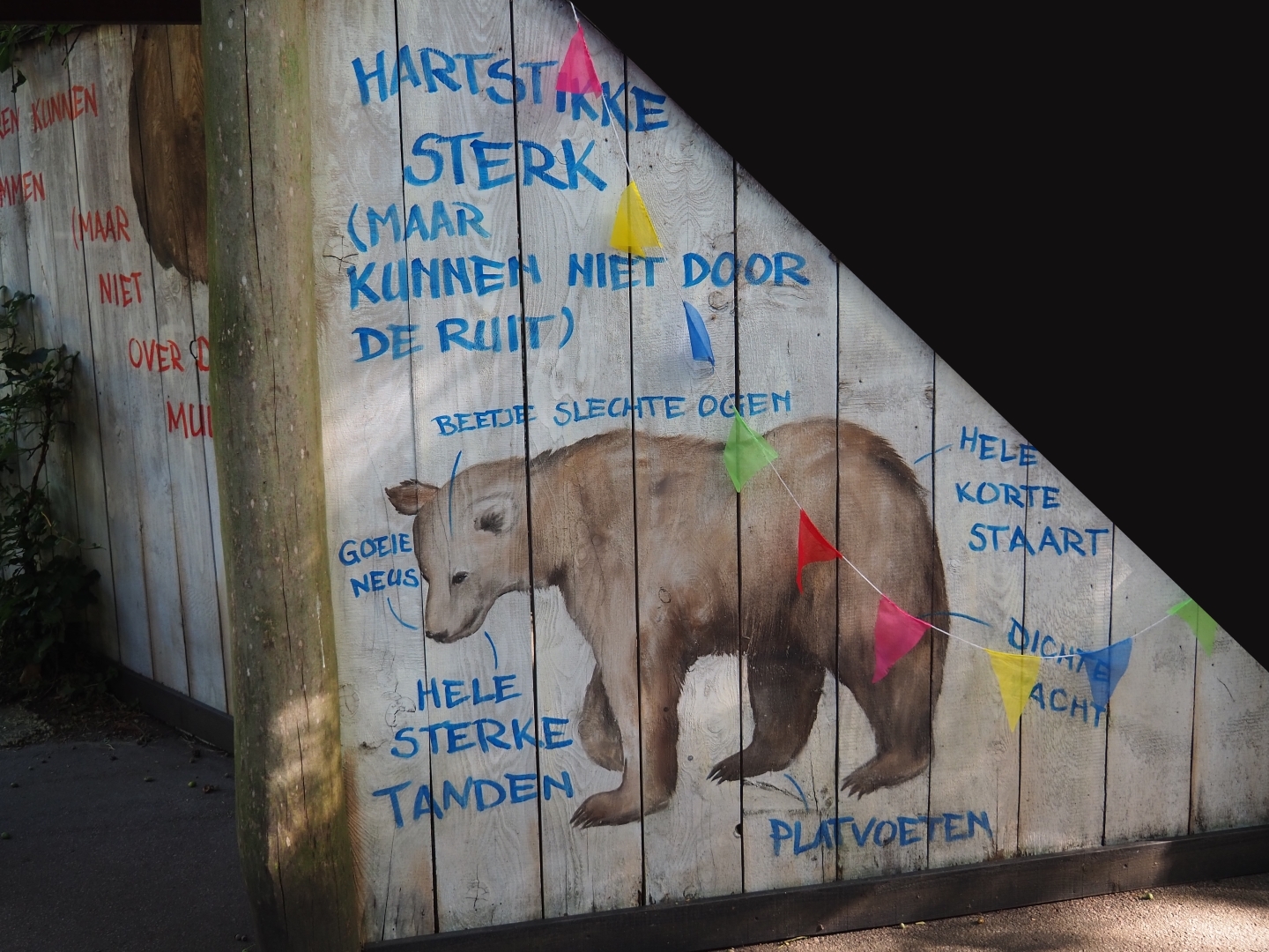 Brown bear education murals