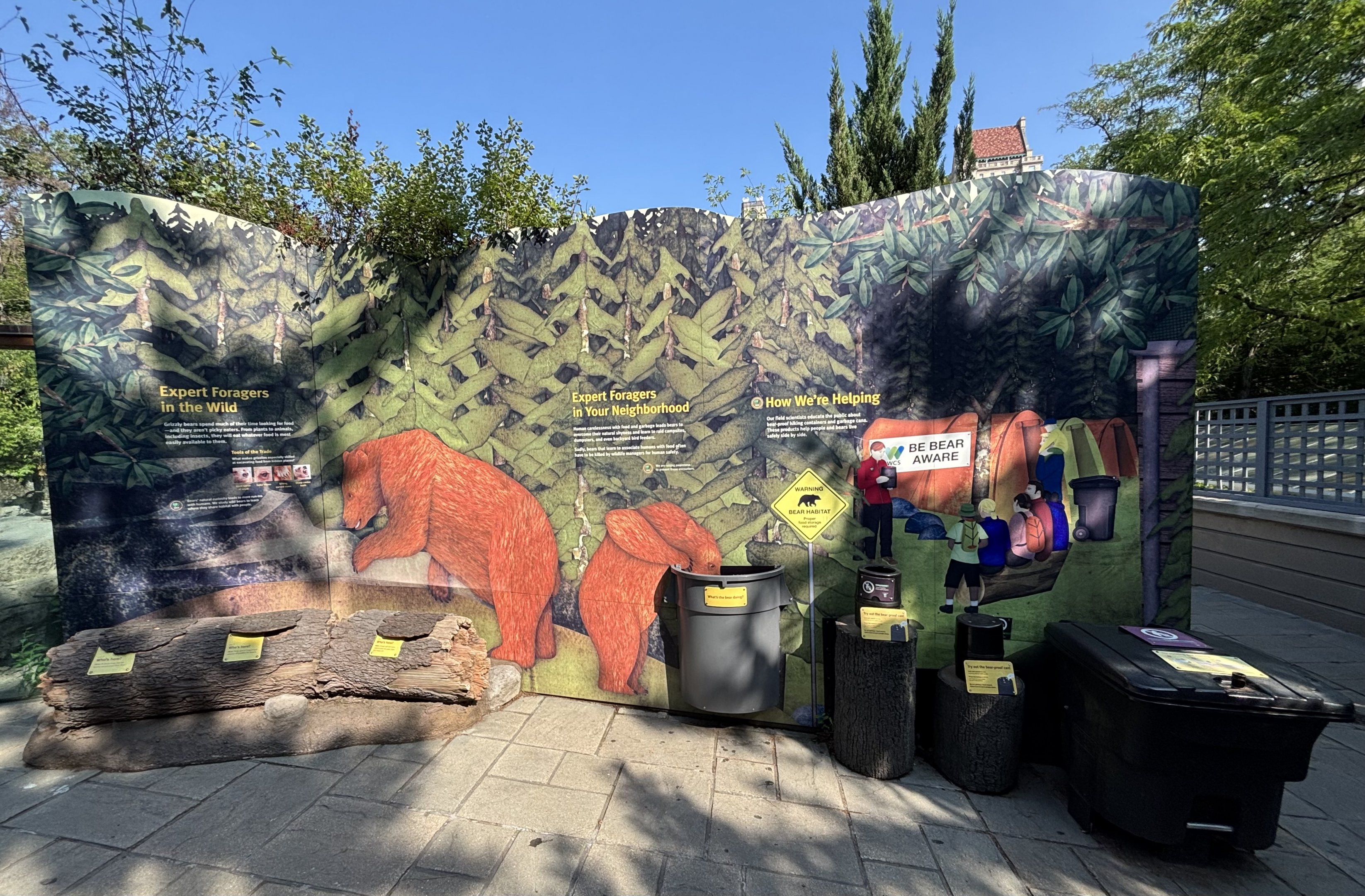 Brown Bear Educational Material