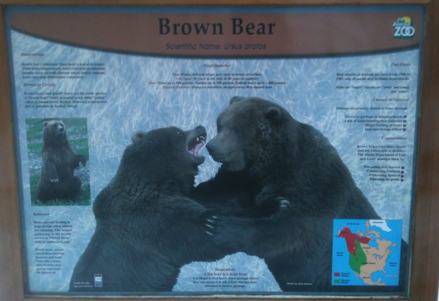 Brown Bear Educational Sign