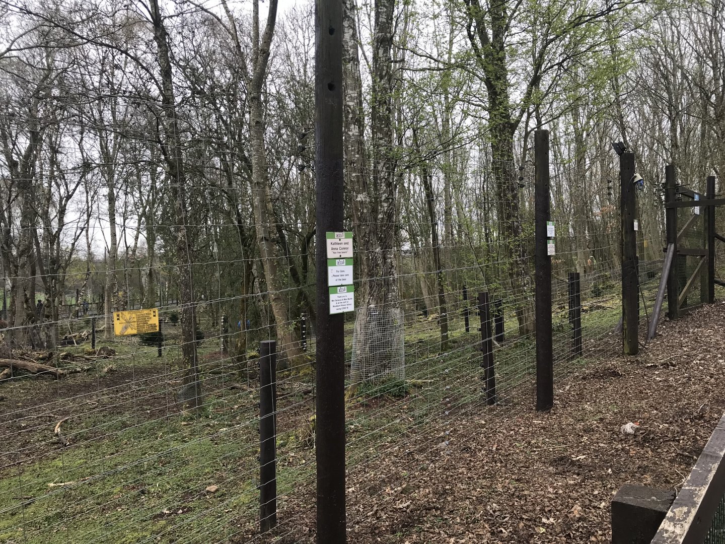 Brown bear enclosure (3)