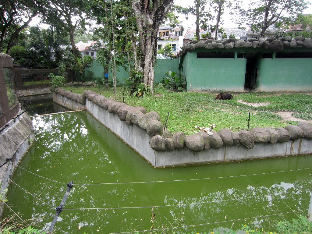 Brown Bear enclosure and moat