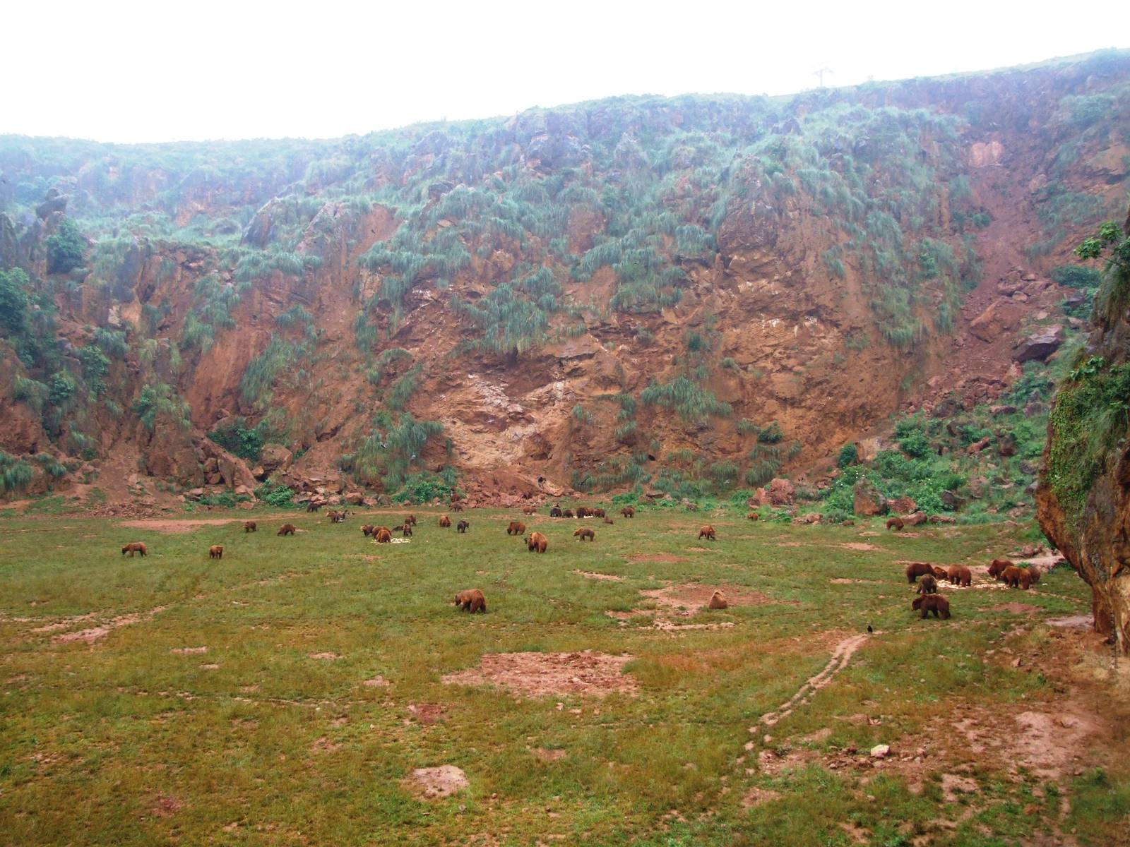 Brown Bear Enclosure at Cabarceno, 11/06/15