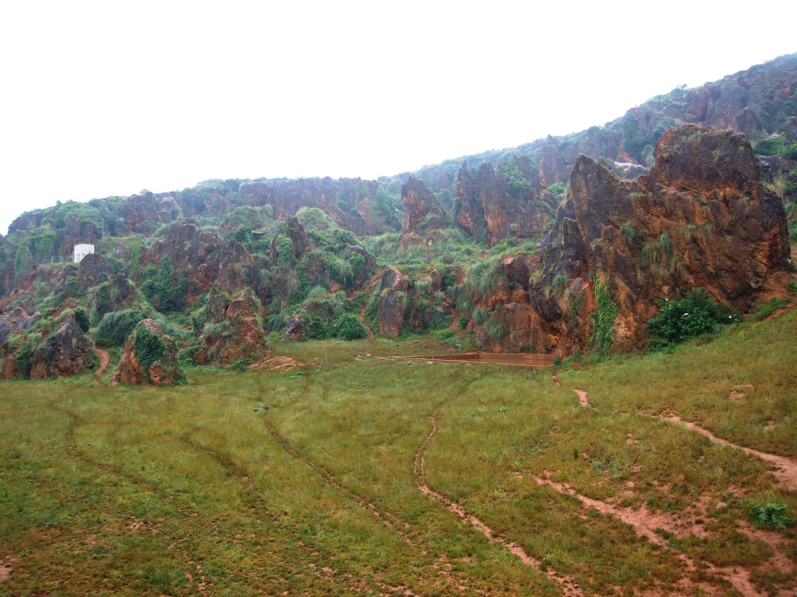 Brown Bear Enclosure at Cabarceno, 11/06/15