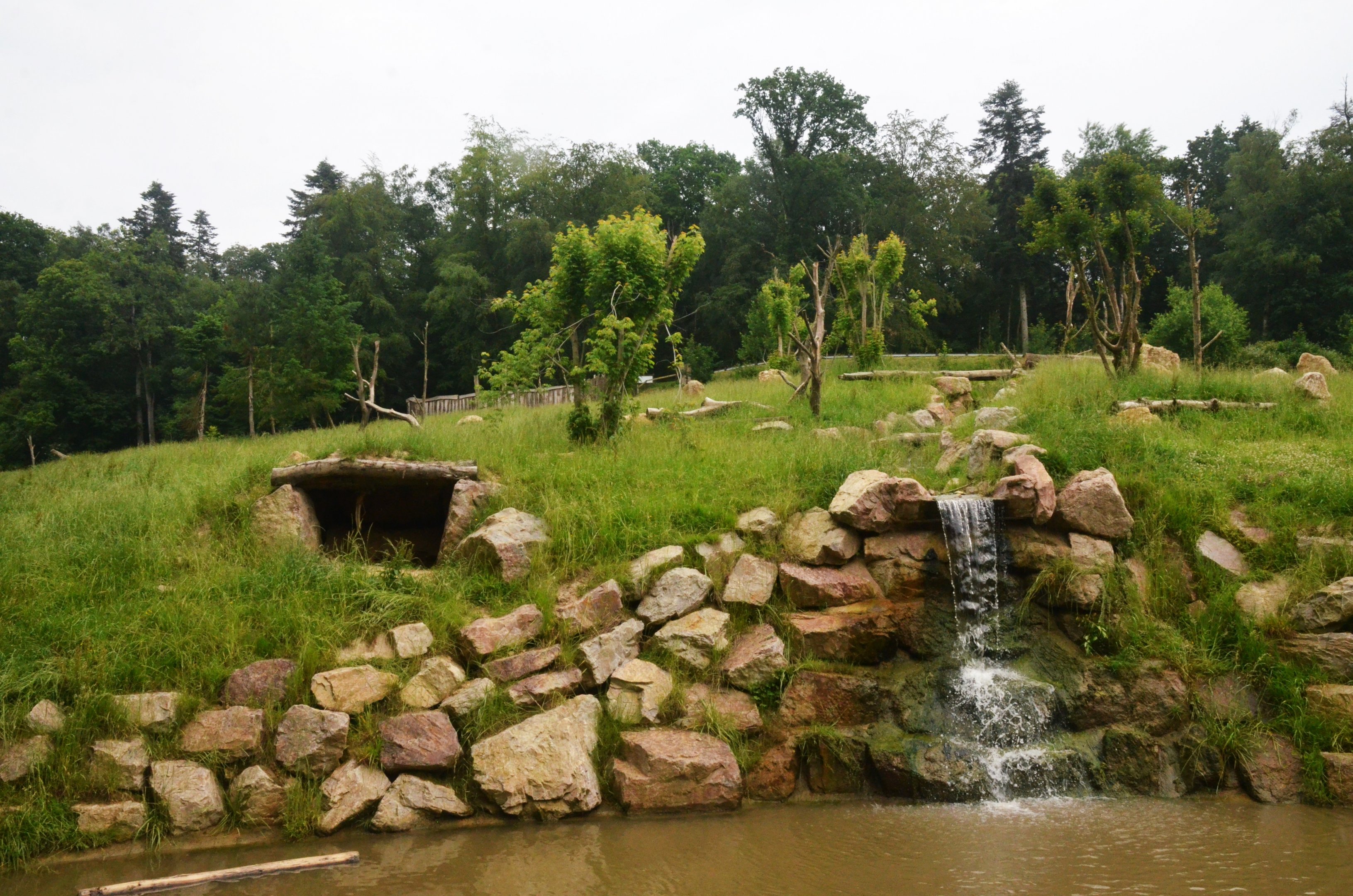 Brown Bear Enclosure at CERZA, 10/06/18