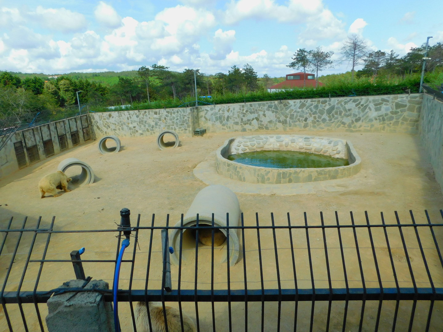 Brown Bear Enclosure at Park Of Istanbul