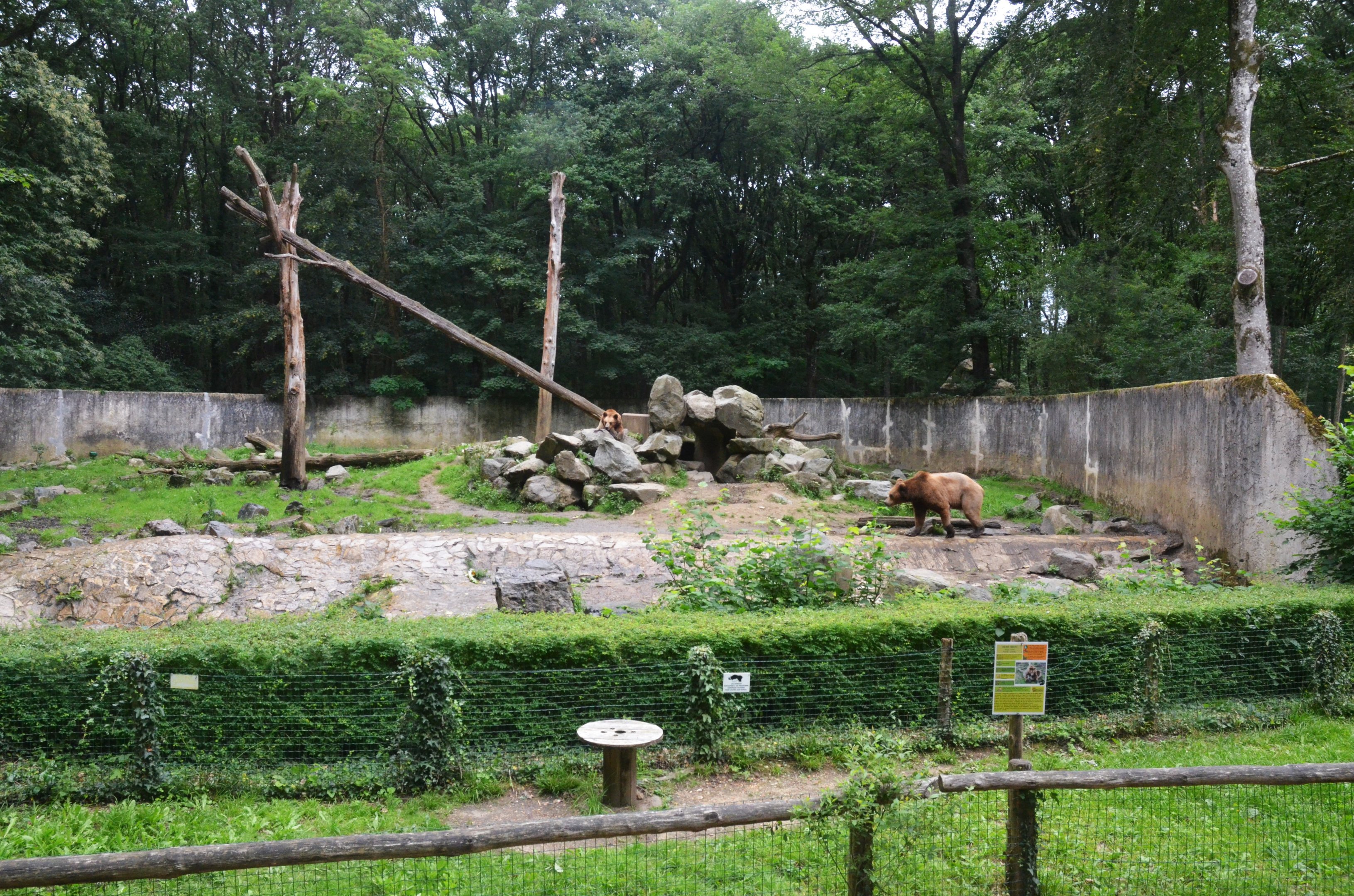 Brown Bear Enclosure at Pescheray, 13/06/18