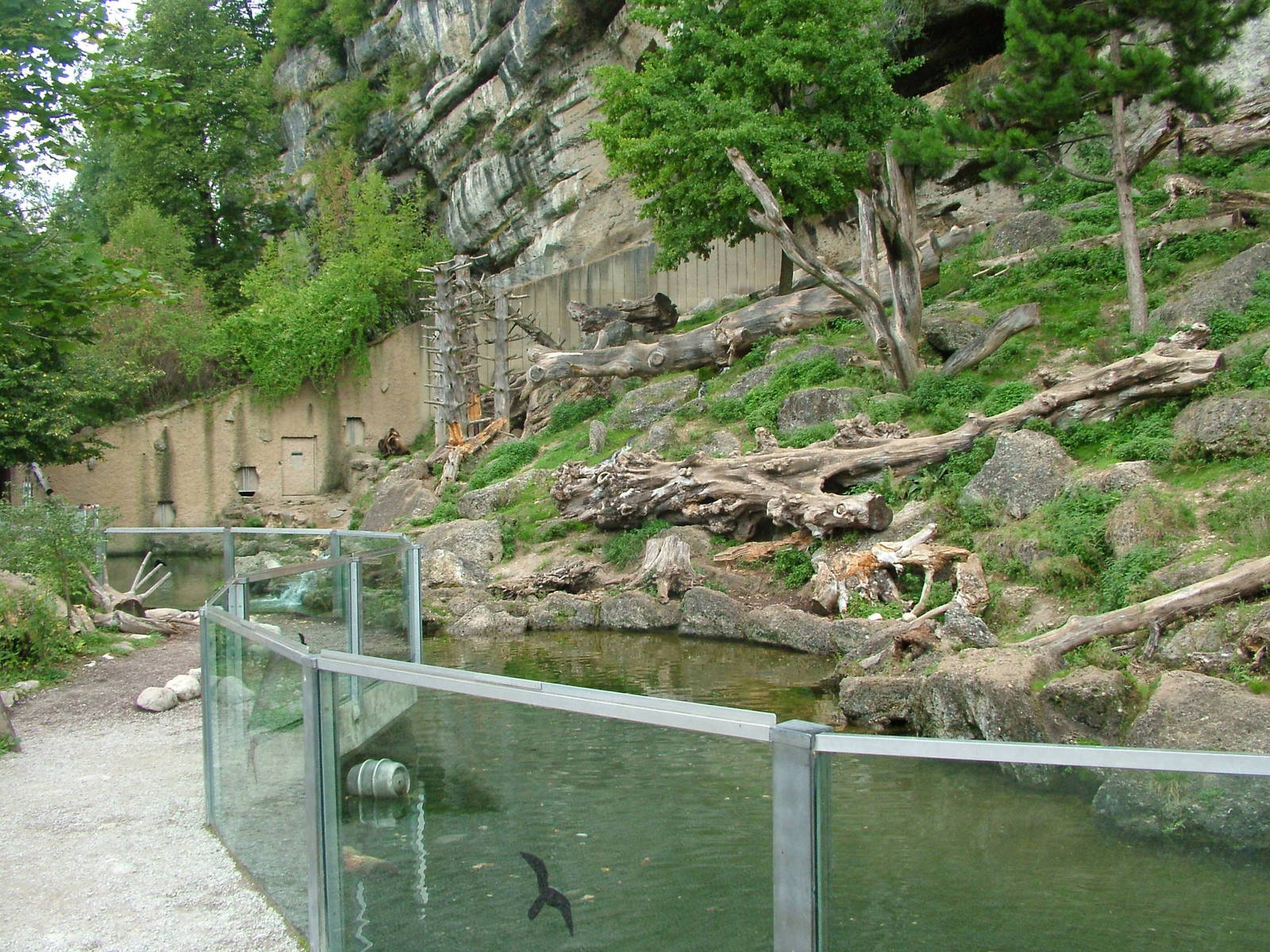 Brown Bear enclosure at Salzburg Zoo