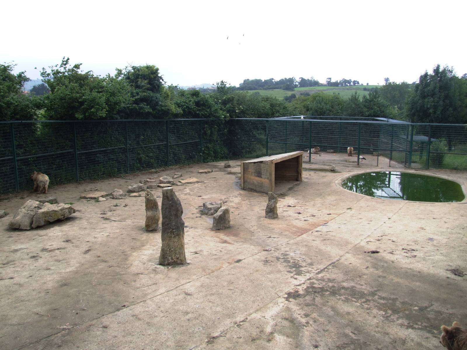 Brown Bear Enclosure at Santillana del Mar, 13/06/15