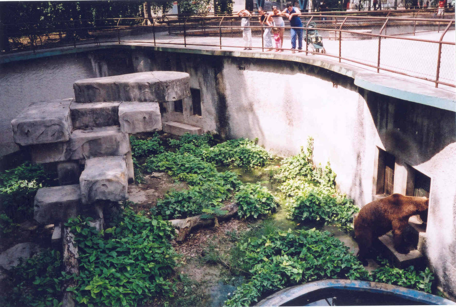 Brown Bear Enclosure - Havana Zoo, Cuba 2004