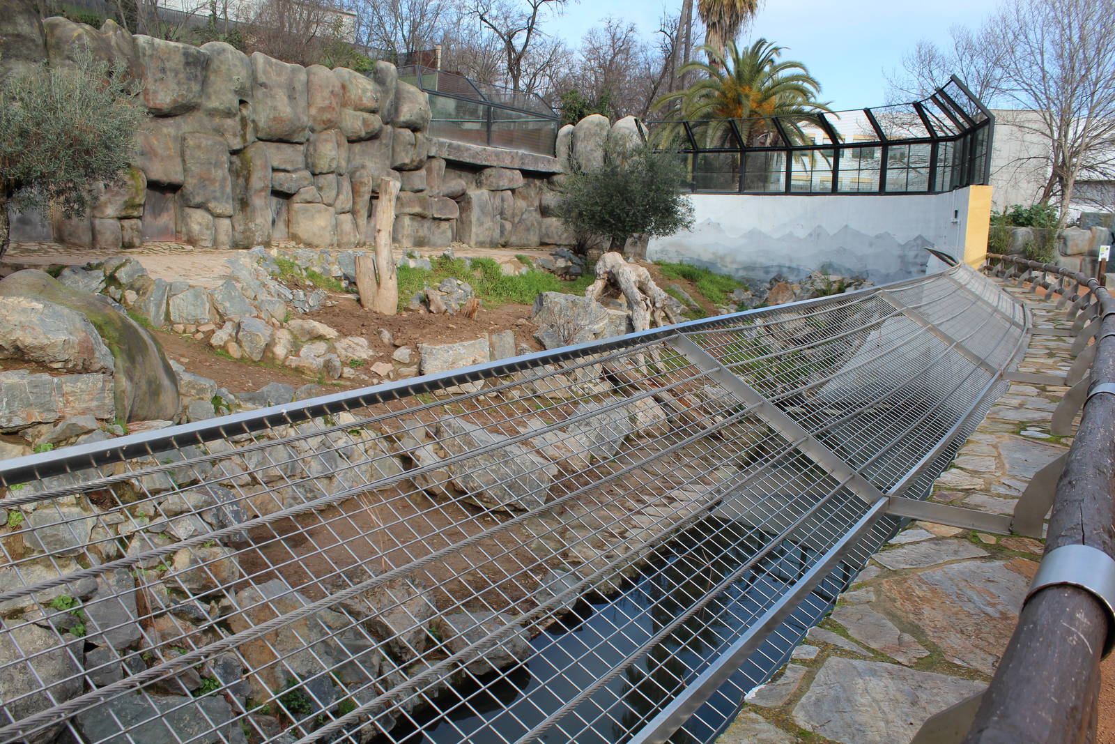 Brown Bear Enclosure - Jan 2014