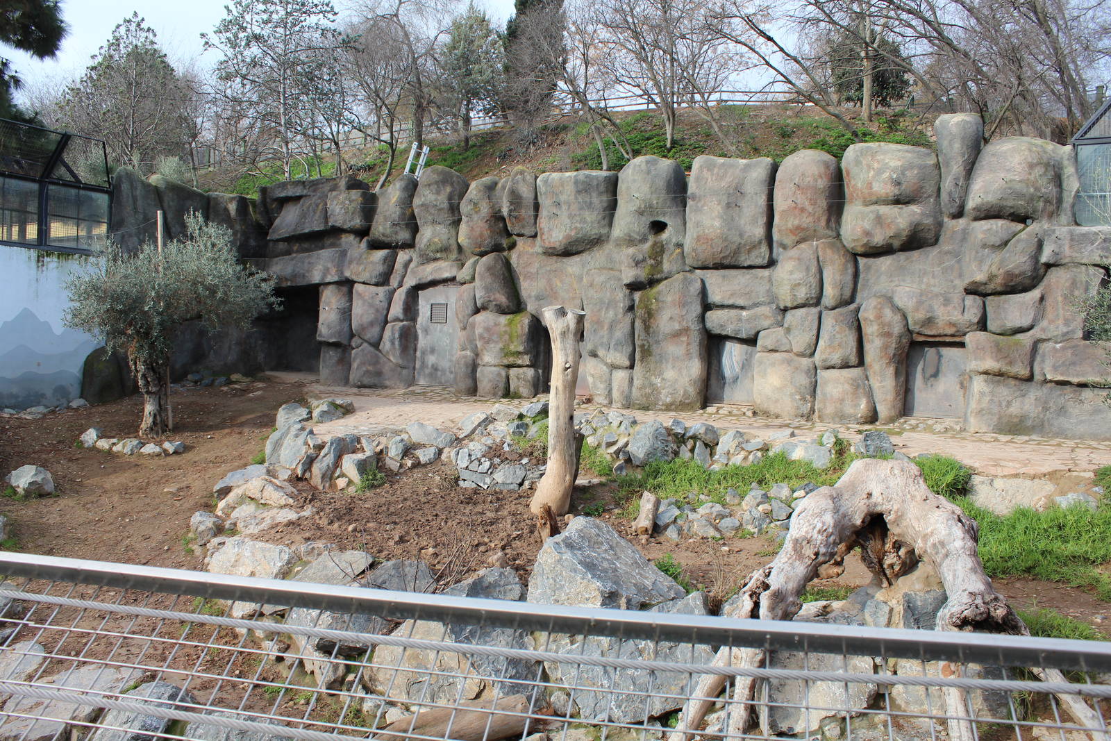 Brown Bear Enclosure - Jan 2014