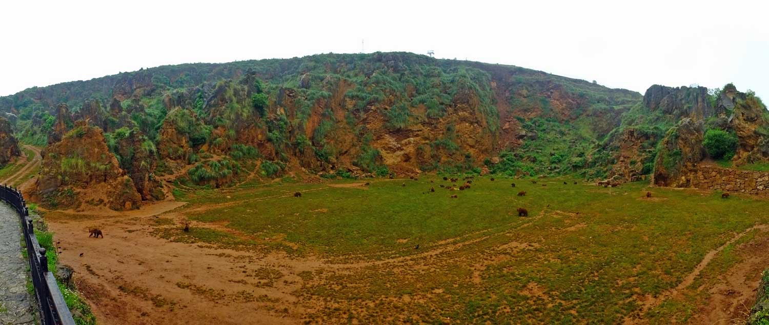 Brown Bear enclosure (June 2015)
