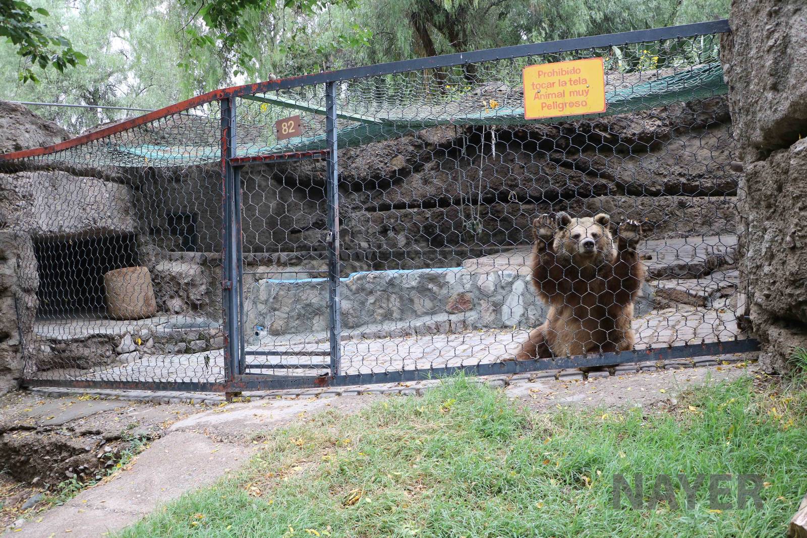 Brown bear enclosure - Mendoza Zoo, April 2016