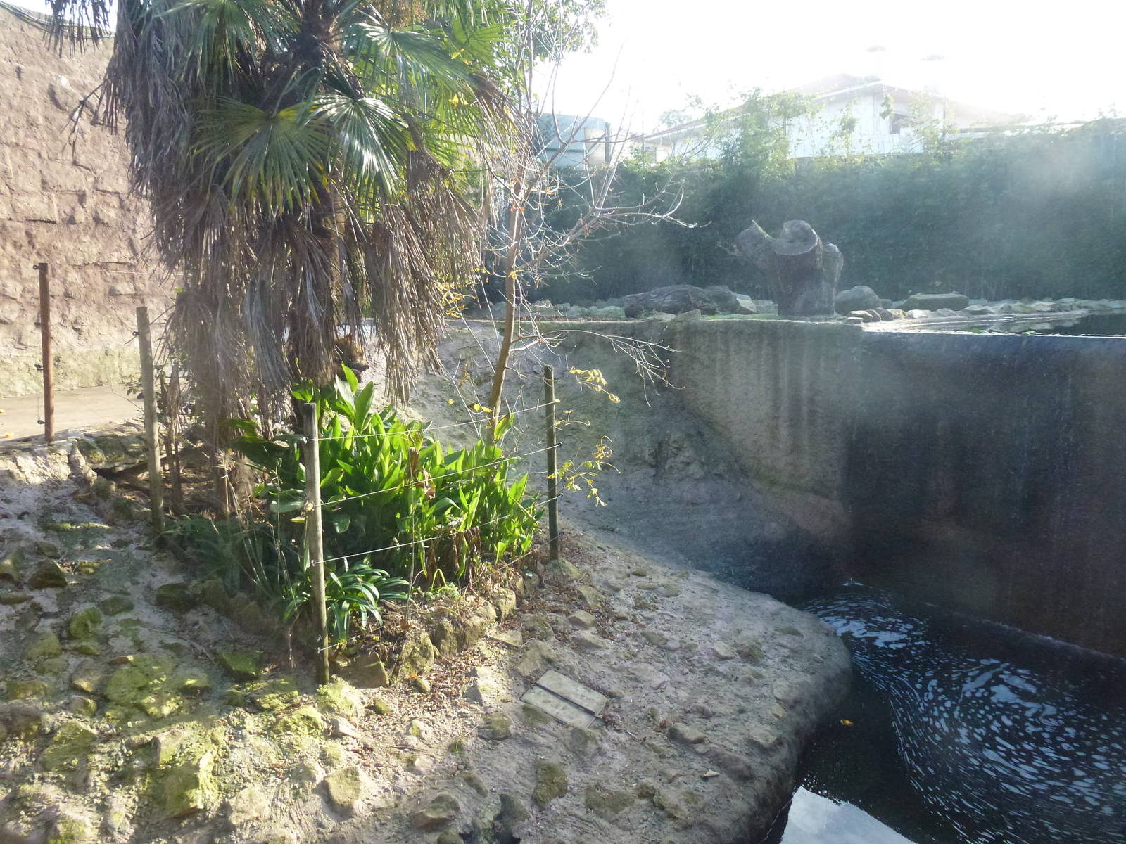 Brown bear enclosure, November 2013.