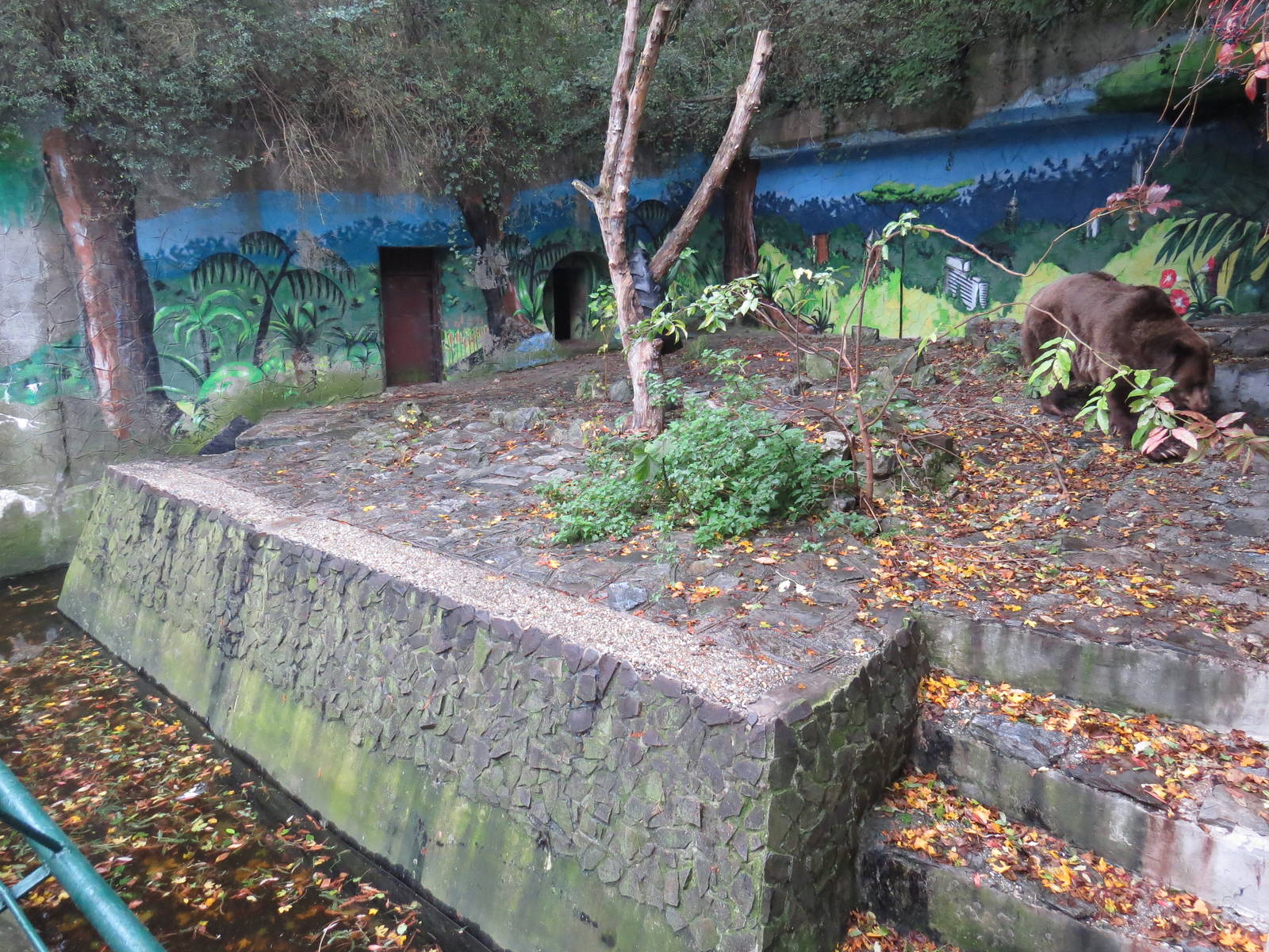 Brown bear enclosure, October 2014.