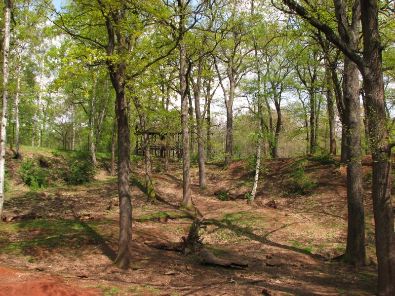 Brown Bear enclosure @ Zoopark Chomutov