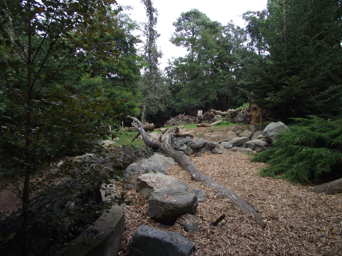 Brown Bear Enclosure