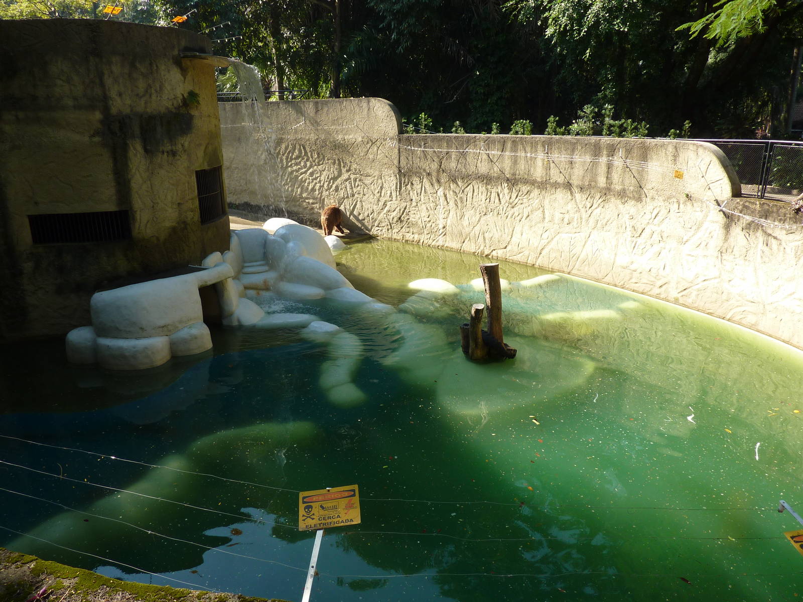 Brown bear enclosure