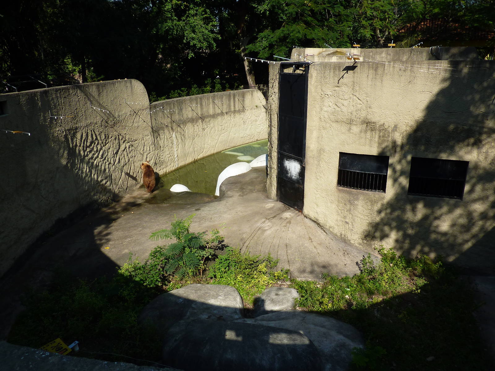 Brown bear enclosure
