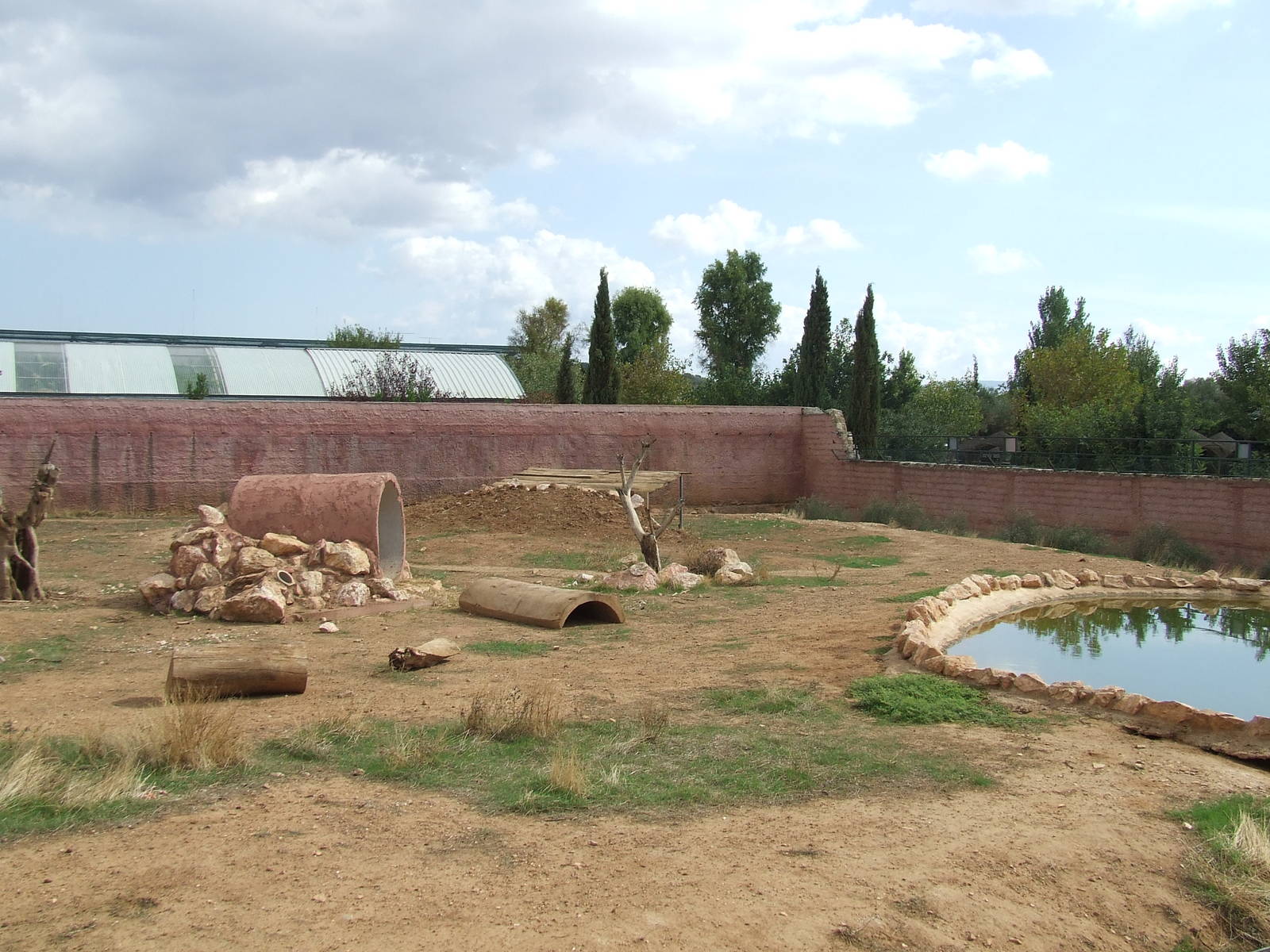 Brown bear enclosure