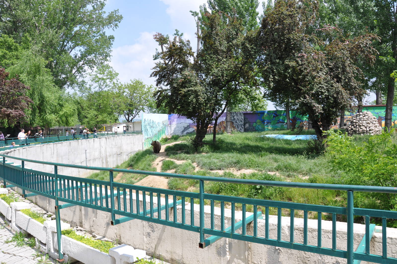 Brown bear enclosure