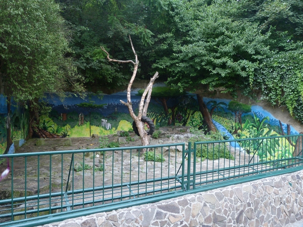 Brown bear enclosure