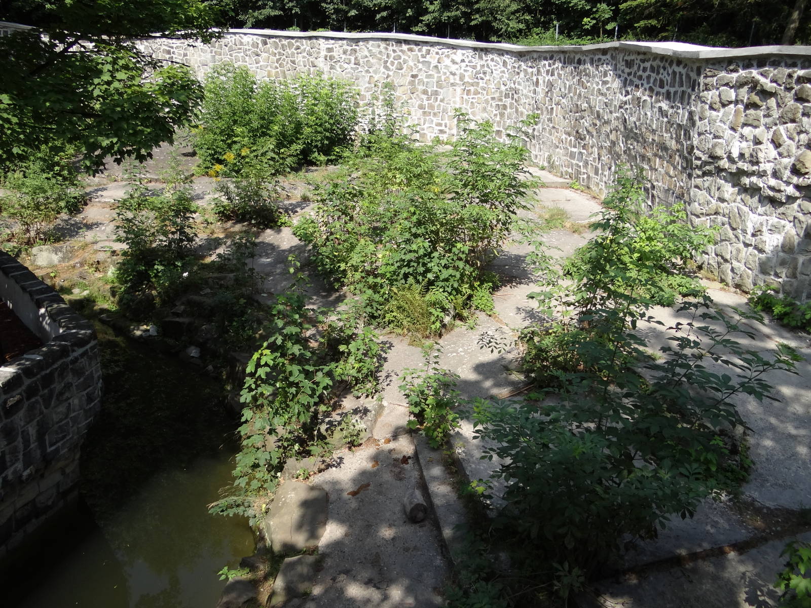 Brown Bear enclosure