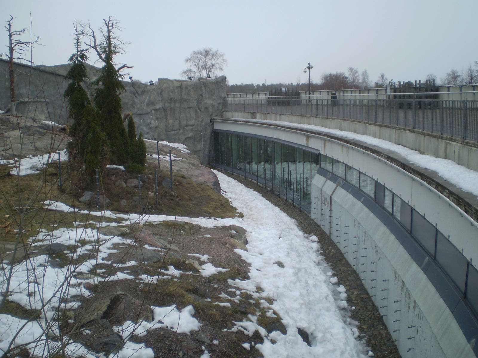 Brown bear enclosure