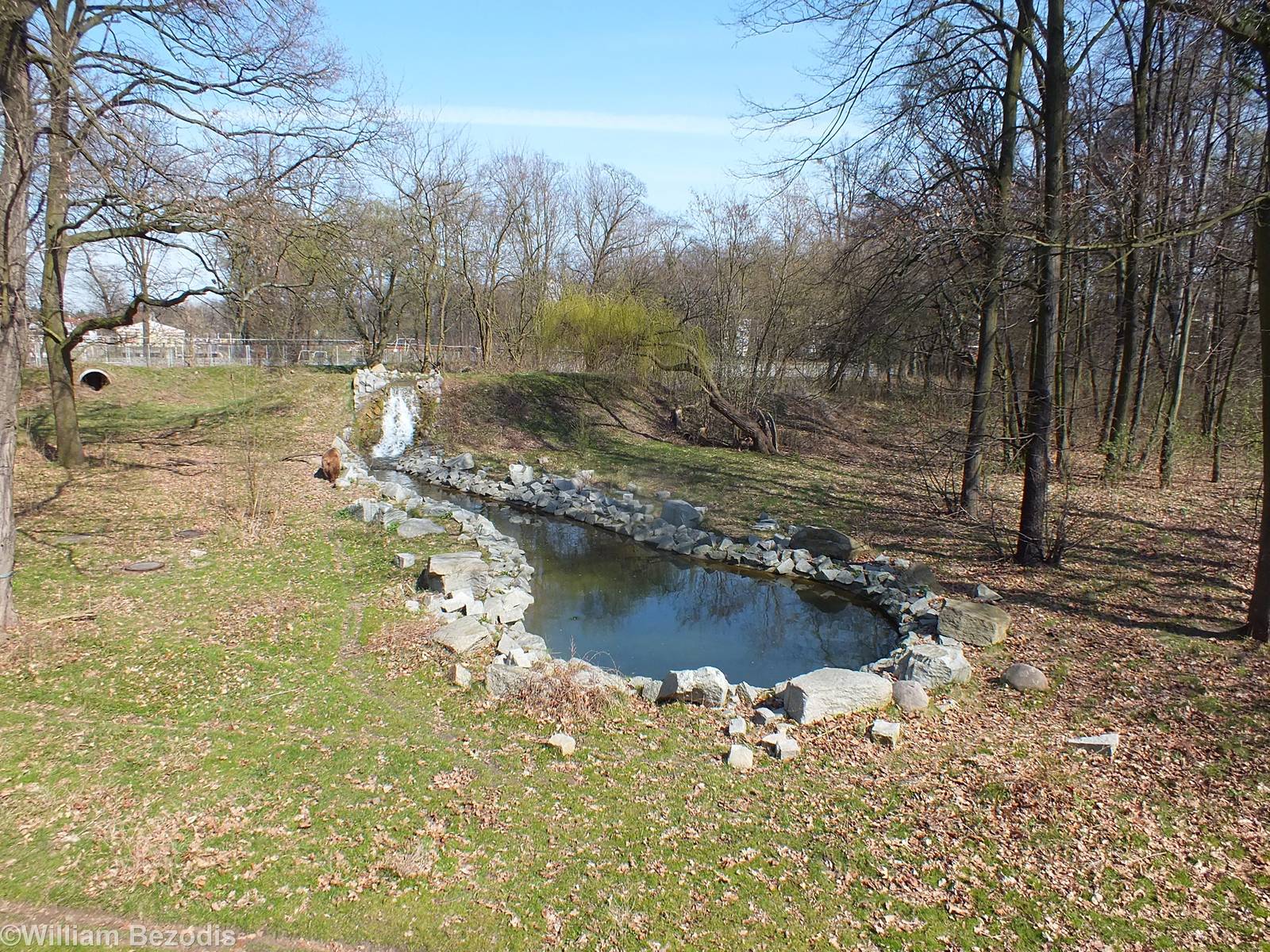 Brown Bear Enclosure