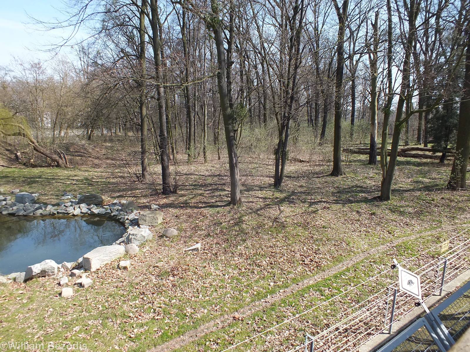 Brown Bear Enclosure