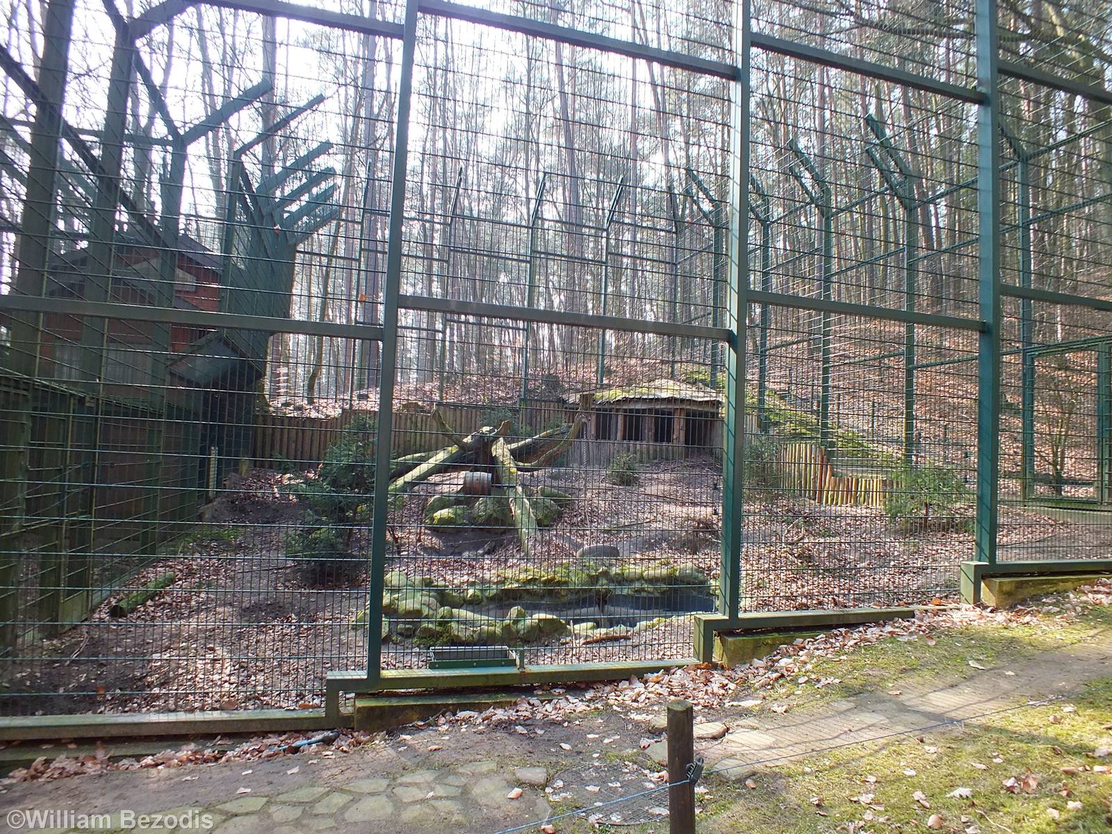 Brown Bear Enclosure