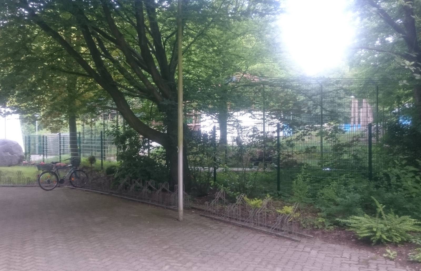 Brown bear enclosure