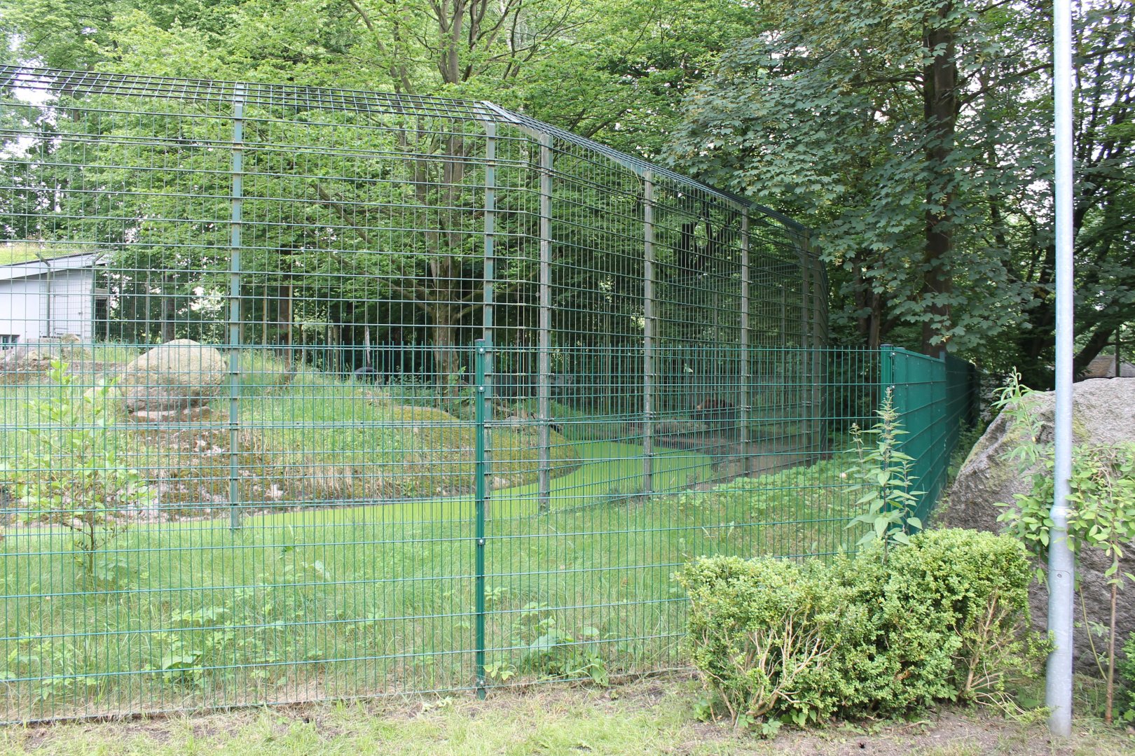 Brown bear enclosure